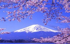 日本翻譯導(dǎo)游水平低，中文不過關(guān)